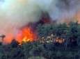 حريق مروّع تسبب بمقتل 40 شخصا قرب مدينة حيفا
