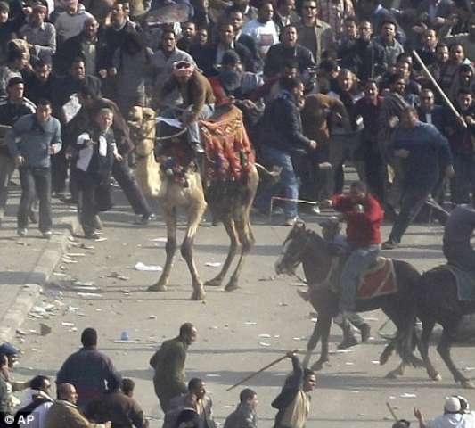 گزارش تصویری نبرد نابرابر قاهره-1