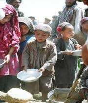 ۷ میلیون افغانی قادر به تأمین نیاز غذایی روزانه خود نیستند