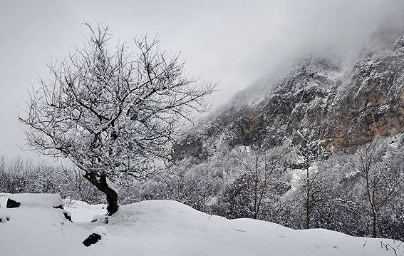 Winter In Iran