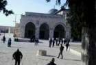 بی حرمتی نایب رئیس كنست صهیونیستی به مسجد الاقصی