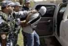 بازداشت شماری از تکفیریها در عراق