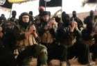 صدور فتوای جهاد عليه گروههای تکفيری در عراق