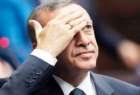 مصادر اميركية : اردوغان سمح بجمع الارهابيين وتدريبهم في الاراضي التركية