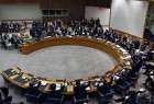 اعتراض کشورهای اسلامی در نشست شورای امنیت به جنایت اسرائیل