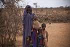 ۱۴ ميليون نفر در شرق آفريقا در معرض خطر گرسنگی
