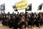 تأکید علمای ادیان و گروه های مختلف دینی عراق بر وحدت برای مقابله با داعش