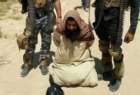بازداشت دو تن از رهبران داعش در کربلا و بغداد