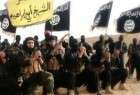هيئت علمای عربستان جنايت های داعش را محکوم کرد