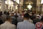 تحصن صدها فلسطینی در مسجد الاقصی
