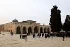پروژه جدید رژیم صهیونیستی برای افزایش تسلط بر مسجد الاقصی