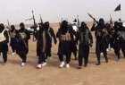 فرمانده داعش در الانبار به هلاکت رسید