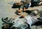 کشته و زخمی شدن 3600 تروریست داعش در استان نینوا