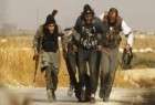 پیروزیهای ارتش های عراق و سوریه در مقابل داعشی ها