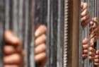 صدور حکم 230 فعال مصري مخالف مبارک / اتحاديه اروپا به حکم دادگاه مصر اعتراض کرد