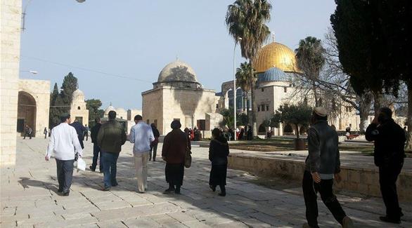 ادامه اهانت صهیونیست ها به مسجد الاقصی