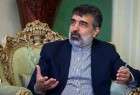 کمالوندي: وفد الوکالة الدولیة للطاقة الذریة یزور طهران الاثنين