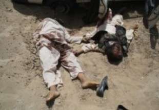 یک فرمانده ارشد طالبان کشته شد