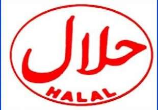 2300میلیارد دلار ارزش بازار جهانی غذای حلال/ایران می تواند سهم خود در بازار جهانی حلال را افزایش دهد