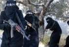 فعالیت 500 زن تونسی در گروه تروریستی داعش