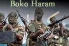 سازمان ملل خواستار تحقیق در مورد جنایات بوکوحرام شد