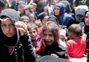 انتقاد عفو بین الملل از بی توجهی به آوارگان سوری