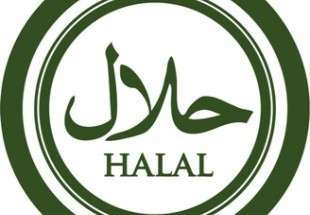 نمایشگاه گردشگری و غذای حلال در مادرید برگزار می شود