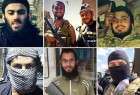 مرگ 50 تروریست انگلیسی درعراق وسوریه درسه سال گذشته