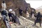کشته و زخمی شدن بیش از 40 عضو طالبان/ استقبال اشرف غنی از اصلاحات انتخاباتی
