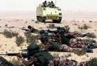 74 کشته در عملیات سینای مصر