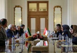 دیدار وزرای خارجه ایران و اندونزی در تهران