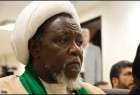 بازداشت رهبر شيعيان نيجريه / شهادت دستکم 500  نفر در زاريا