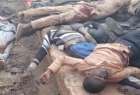 کشتار شیعیان نیجریه همچنان ادامه دارد