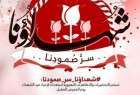 مراسم «عید الشهداء» در بحرین / تاکید عفو بین الملل بر آزادی شیخ سلمان