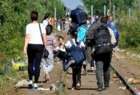 اخراج هشتاد هزار پناه‌جو از سوئد
