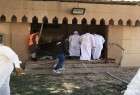 بیانیه شورای امنیت در محکومیت انفجار تروریستی مسجد شیعیان عربستان