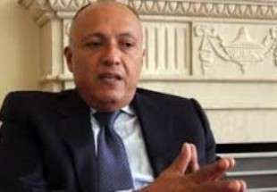 وزير الخارجية المصري: الحديث عن مصير الاسد غير مفيد
