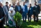 Top Shia jurisprudent plants sapling to mark Iran’s Arbor Day (photo)  <img src="/images/picture_icon.png" width="13" height="13" border="0" align="top">