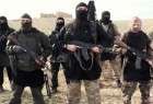 ژنرال ووتل: برنامه‌ای برای حمله به «پایتخت» داعش نداریم
