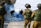 سیزده شهید و زخمی در درگیری های فلسطینیان با صهیونیست ها