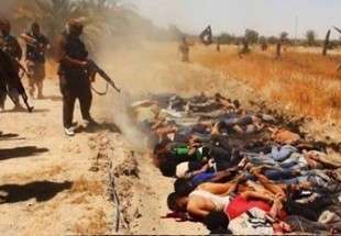 الصحافة الغربية : المسلمون هم اكثر ضحايا الارهاب