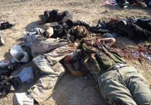 هلاکت 65 تروریست در صحرای سینا