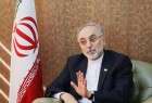 Iran cautious in selling heavy water to US