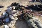 هلاکت 16 تروریست در صحرای سینا