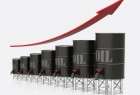 ادامه روند صعودی قیمت نفت