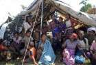 مسلمانان روهینگا قربانی «جنایت علیه بشریت»