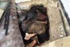 کشف 15 جسد در یکی از زندان های داعش در فلوجه