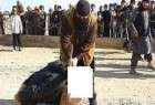 داعش 23 جوان عراقی را در موصل اعدام کرد