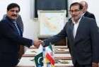 ایران برای توسعه و ثبات پاکستان از هیچ تلاشی فروگذار نخواهد کرد