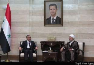 دیدار آیت الله اراکی و نخست وزیر سوریه